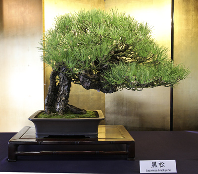 ASPAC Takamatsu Japan 2011 and BCI Tour Imperi10