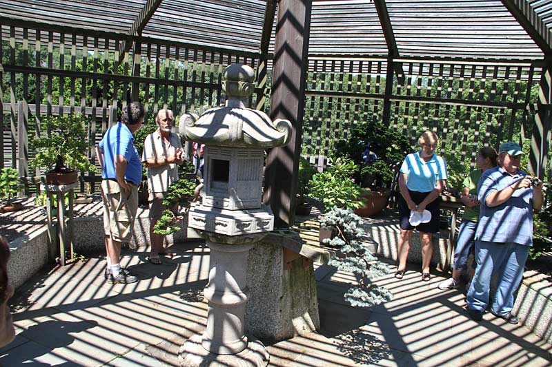 BONSAI SOCIETY OF UPSTATE NY BUS TRIP Larz-310