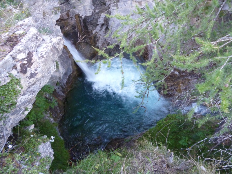 Réallon dans un "Ecrins" de verdure (7-13 aout 2011) P1000213