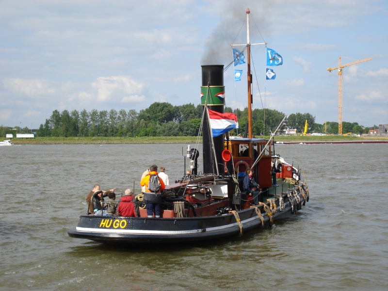 Schlepper "Hugo" in Dordrecht (Holland) Dortin11