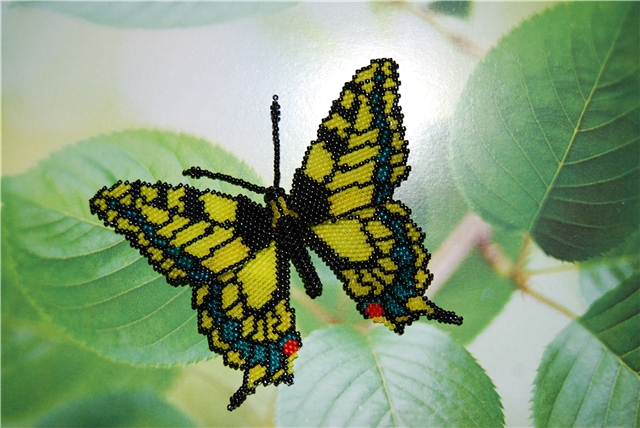 Бабочка Махаон и другие (мозаичное плетение) 5b486510