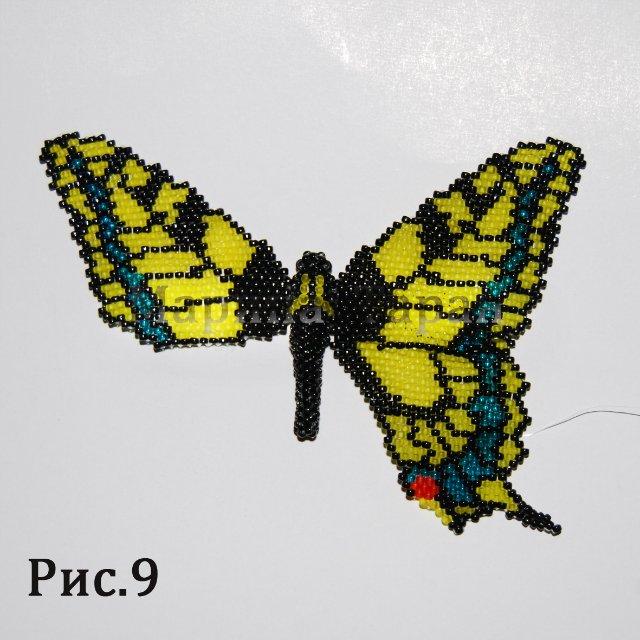 Бабочка Махаон и другие (мозаичное плетение) Bc992010