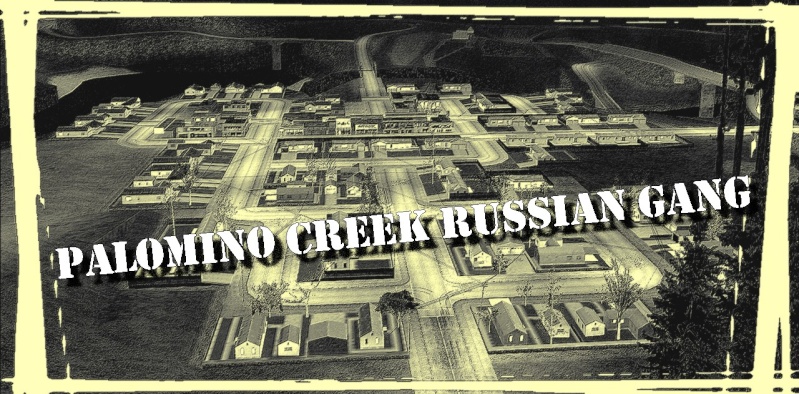 [PED]> Palomino Creek Russian Gang < [4/15 membres] Palomi11