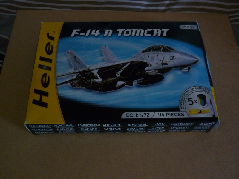 Tomcat F-14 A  P1270912