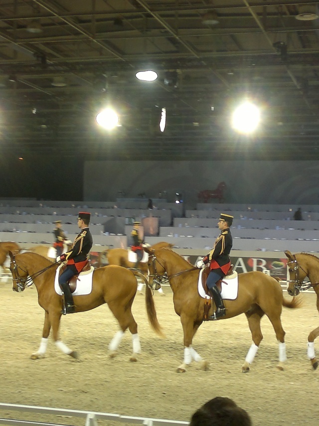 Salon du cheval 2011 10122012