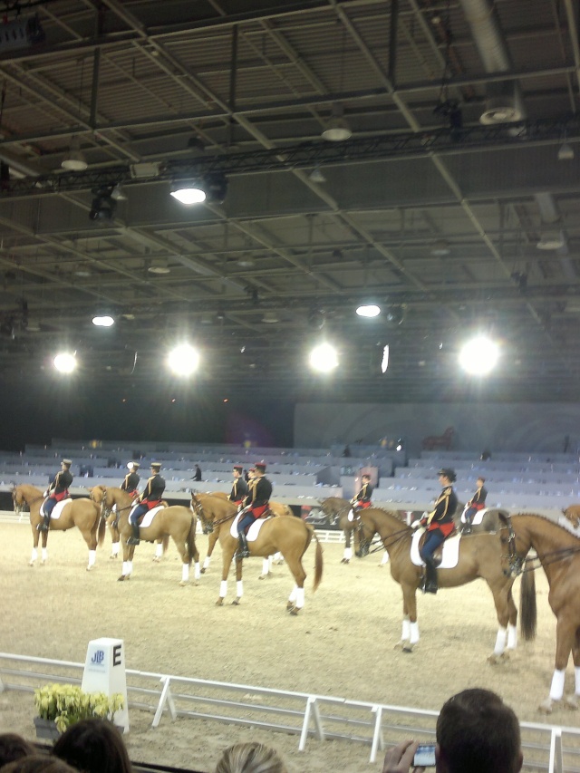 Salon du cheval 2011 10122013
