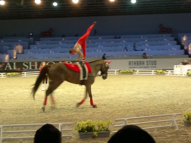 Salon du cheval 2011 10122014