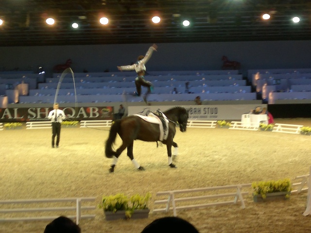 Salon du cheval 2011 10122015