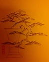 Chinese Elm Sketch Toby_e10