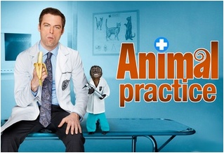 Animal Practice, la série Animal10