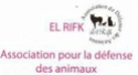 une journée de sensibilisation des droits des animaux : elrifk (association pour la defense des animaux /algerie) 59197_10