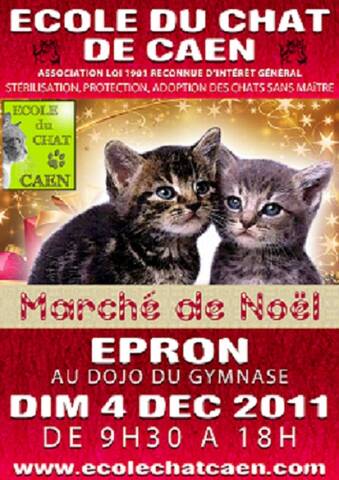 Ecole Du Chat De Caen Marche De Noel D Epron Le 4 12 11 Ecole Du Chat De Caen Marche De Noel D Epron Le 4 12 11