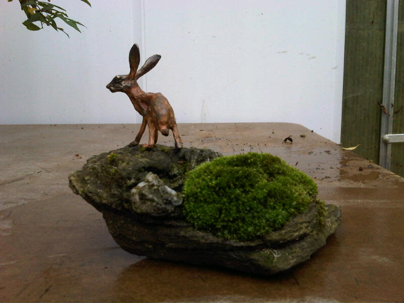 Preparing trees, accents and a suiban for Bonsai Masters. Img00720