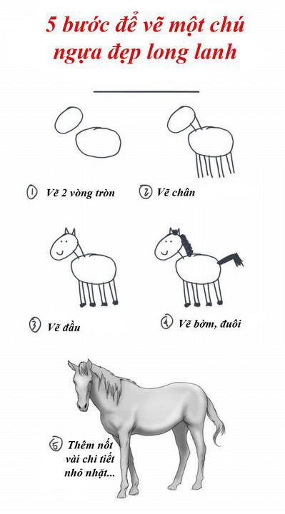 [Hài] 5 Bước đơn giản để vẽ 1 chú ngựa 39979710