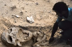 Honderden Gigantische buitenaardsen opgegraven in Afrika Giant_10