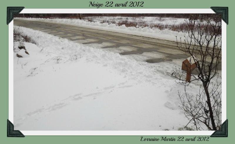 Neige du 22 avril 2012 Dscf4924
