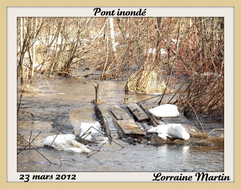 Étang 23 mars 2012 Pont_i10