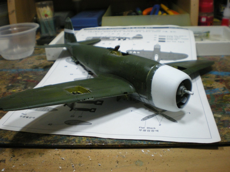 [Academy] 1/48 - Republic P-47D Thunderbolt  - Page 4 Imgp2579