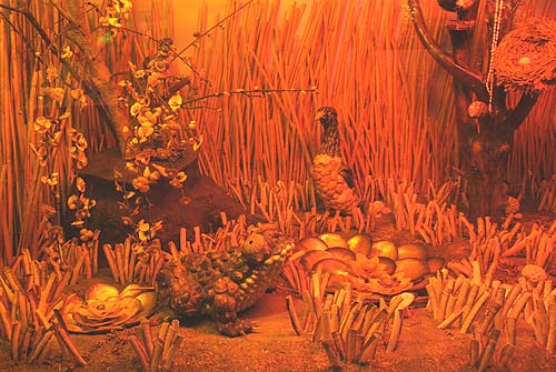 L'aquarium de Granville Coq110