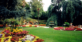 Des Jardins Fleuris Coutan11