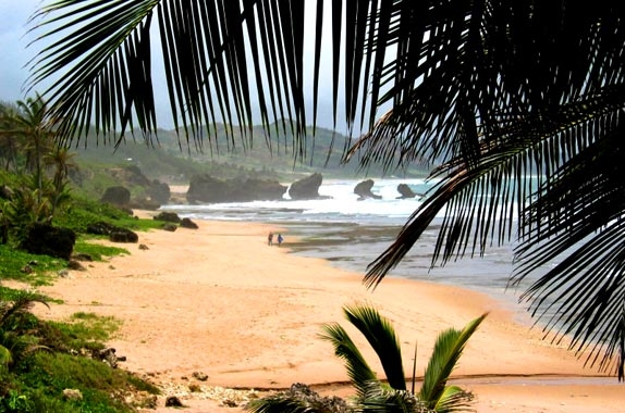 quelques îles françaises La_reu10