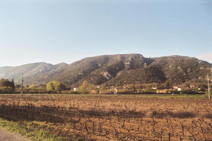 Parc naturel régional du Luberon Lubero11