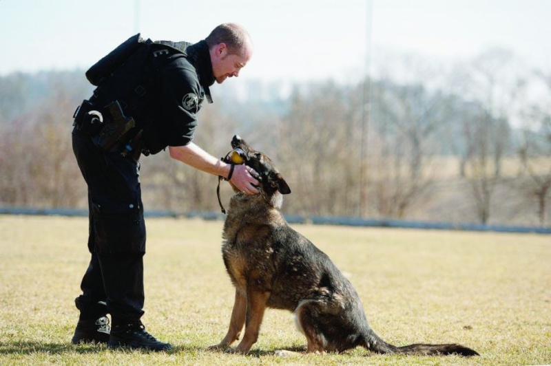 Championnat suisse des conducteurs de chiens de police 21-23.3.2012 Data_a13