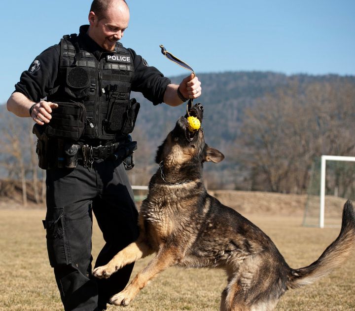 Championnat suisse des conducteurs de chiens de police 21-23.3.2012 Data_a16