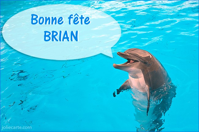 1ER SPETEMBRE Brian10