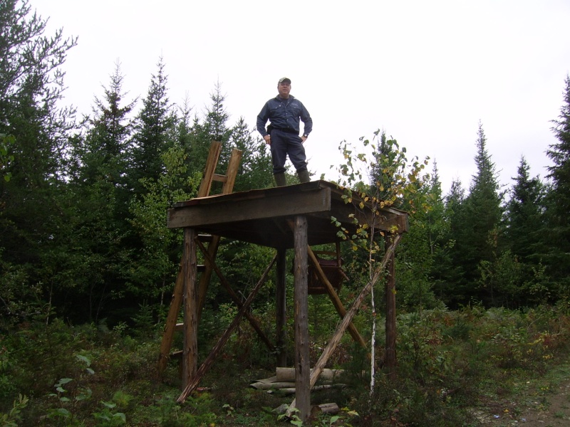 cache fermée pour l'arbalète Ssa40344