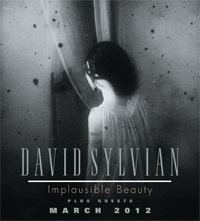 David Sylvian David-10