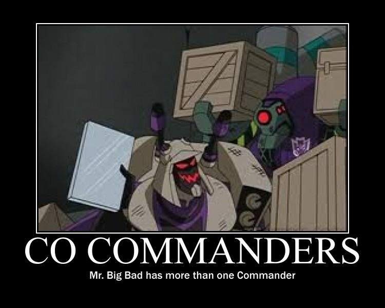 What are Co-Commanders? 021