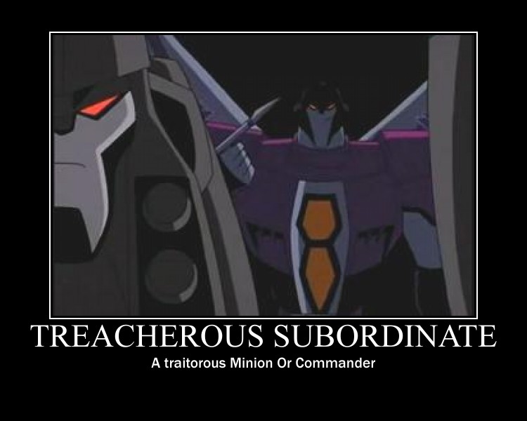 What are the ranks in Evil Organization Hierarchy 0911