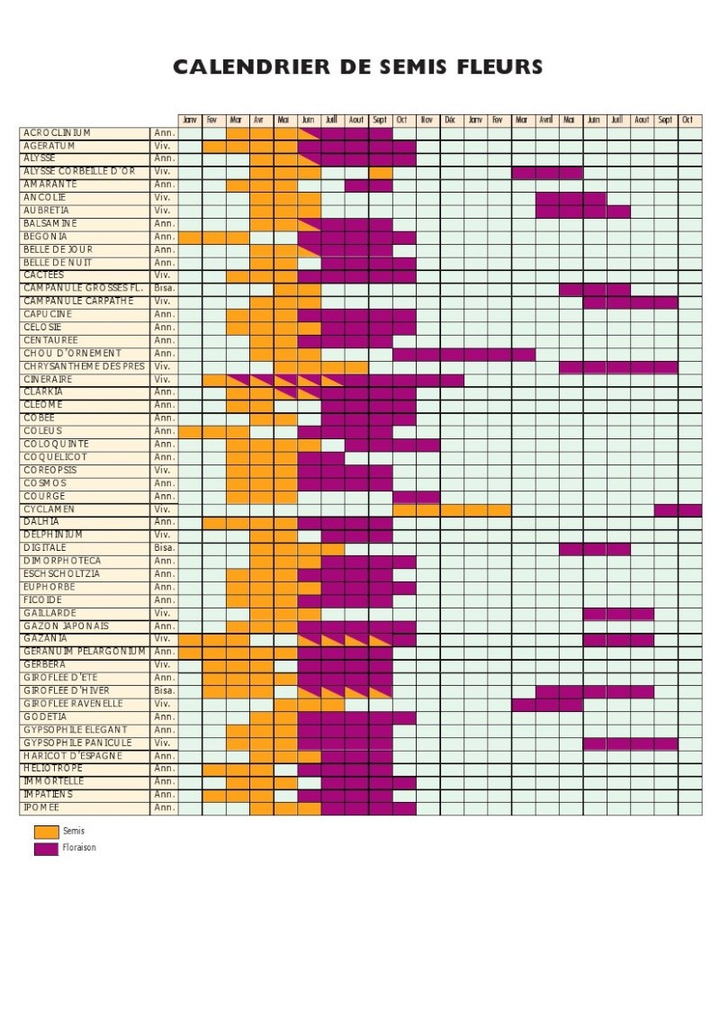calendrier des semis des fleurs