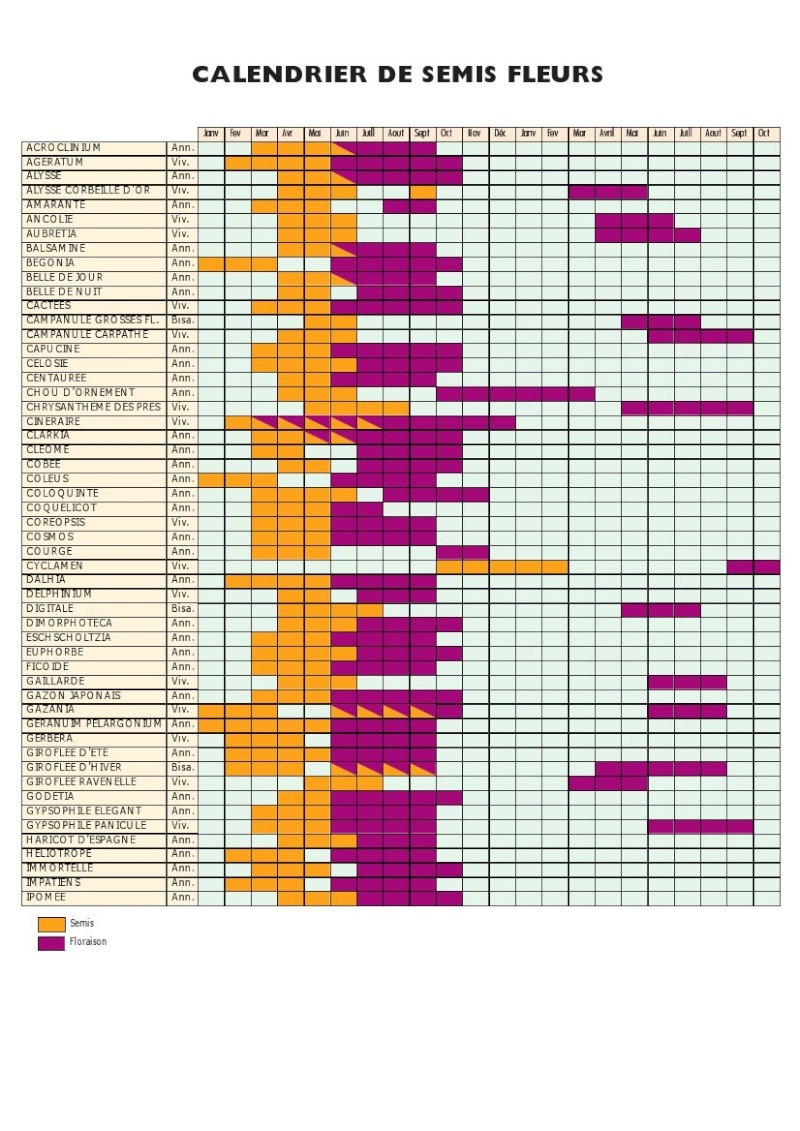 calendrier des semis des fleurs Calend11