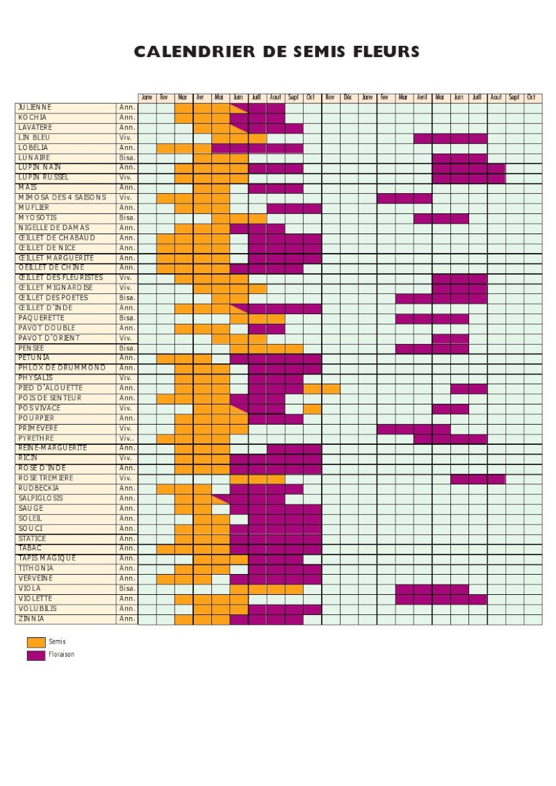 calendrier des semis des fleurs