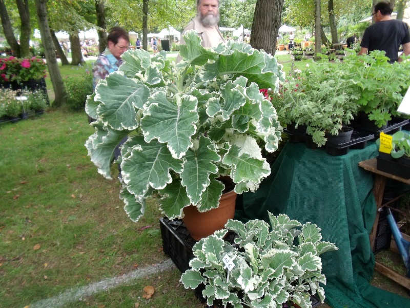 La Fete des Plantes de Nantes aujourd'hui Dscf0541