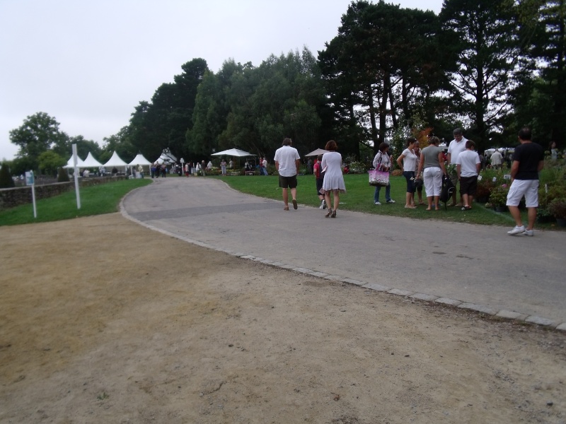 La Fete des Plantes de Nantes aujourd'hui Dscf0551