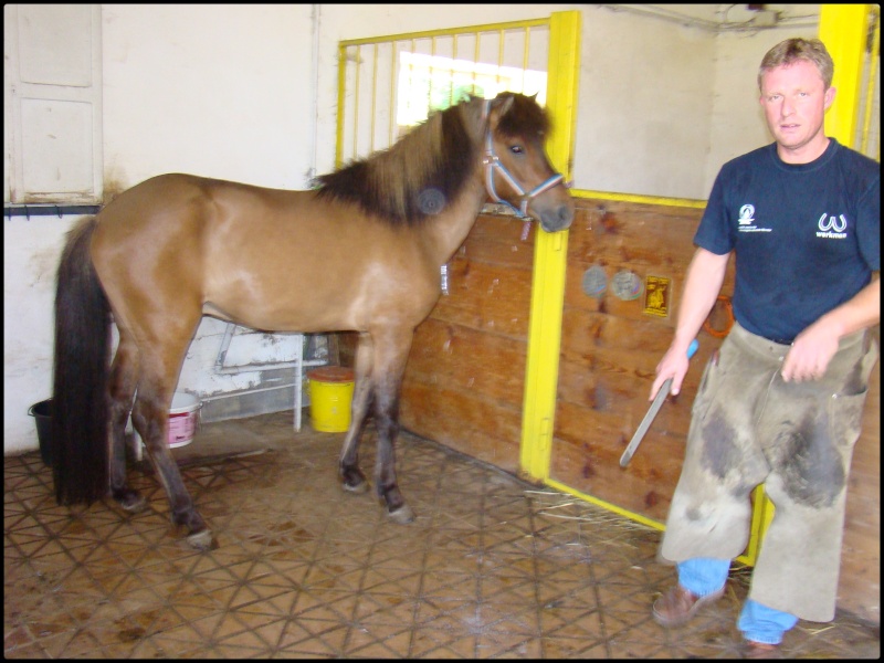 Les amis du Haras de St Raphael 01210