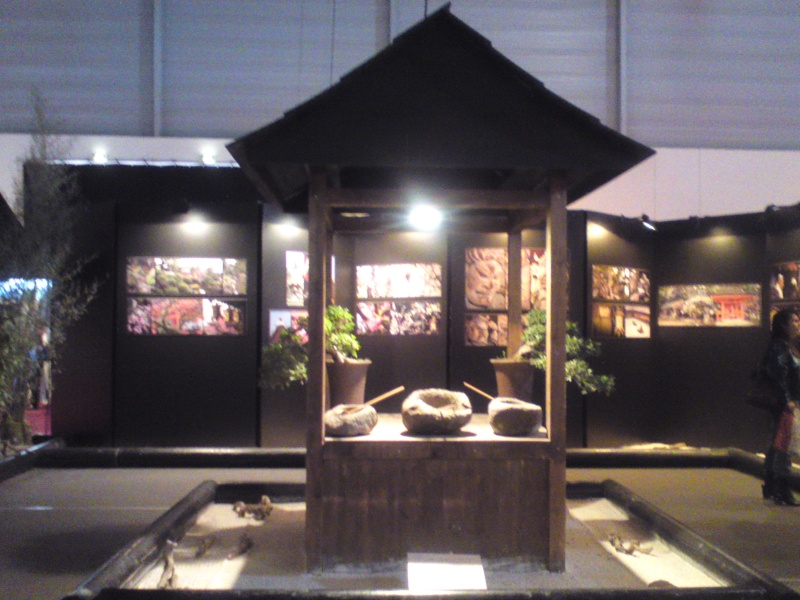foire expo de montpellier - invité d'honneur : le Japon Dsc01320