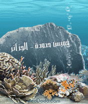 لا مساهمات جديدة لا مساهمات جديدة