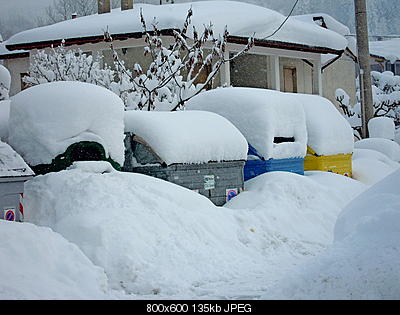 Neve S.Giacomo (Castiglione dei Pepoli BO) 24651210