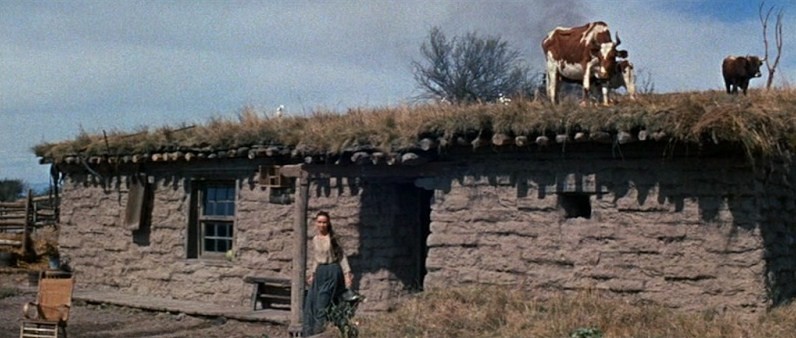 Le vent de la plaine . The Unforgiven . 1960 . John Huston. Vlcsn295