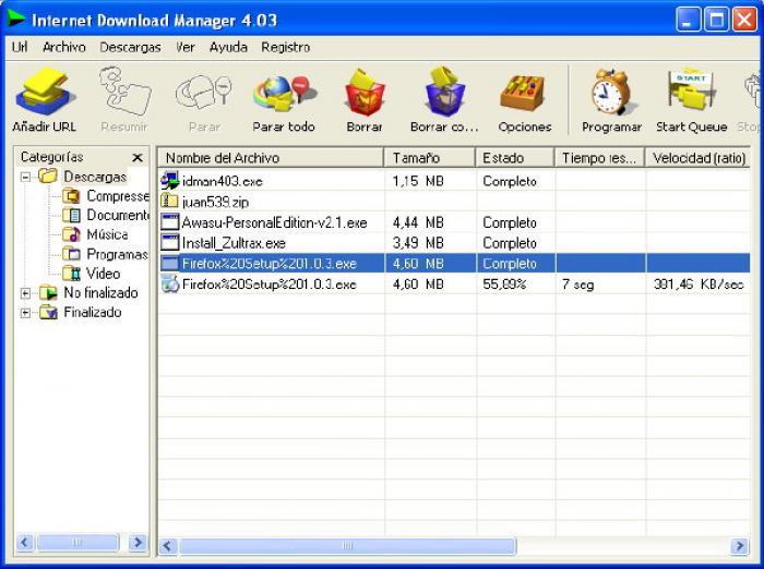 Internet Download Manager v6.07 Build 8 + PORTABLE Multilenguajes Intern10