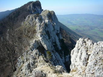 La dent du chat Aps-de10