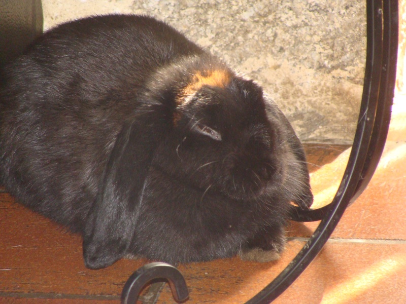 Poupette et Cannelle Dsc02616