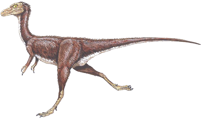Compsognathus Compso10