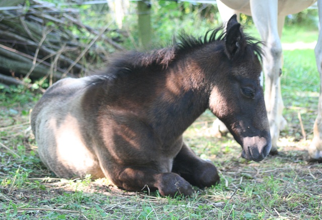 Des nouvelles de mon Blacky - Page 36 Img_6312