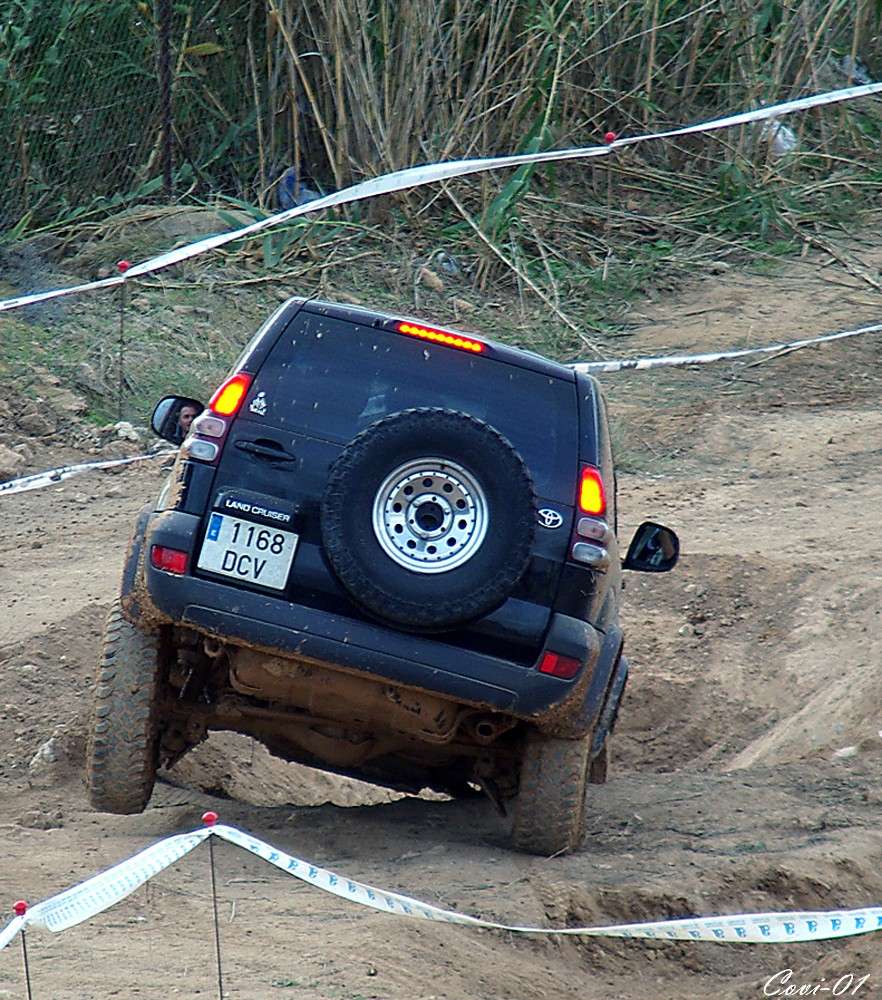 Pero las ruedas de los coches.................................. Imgp5310