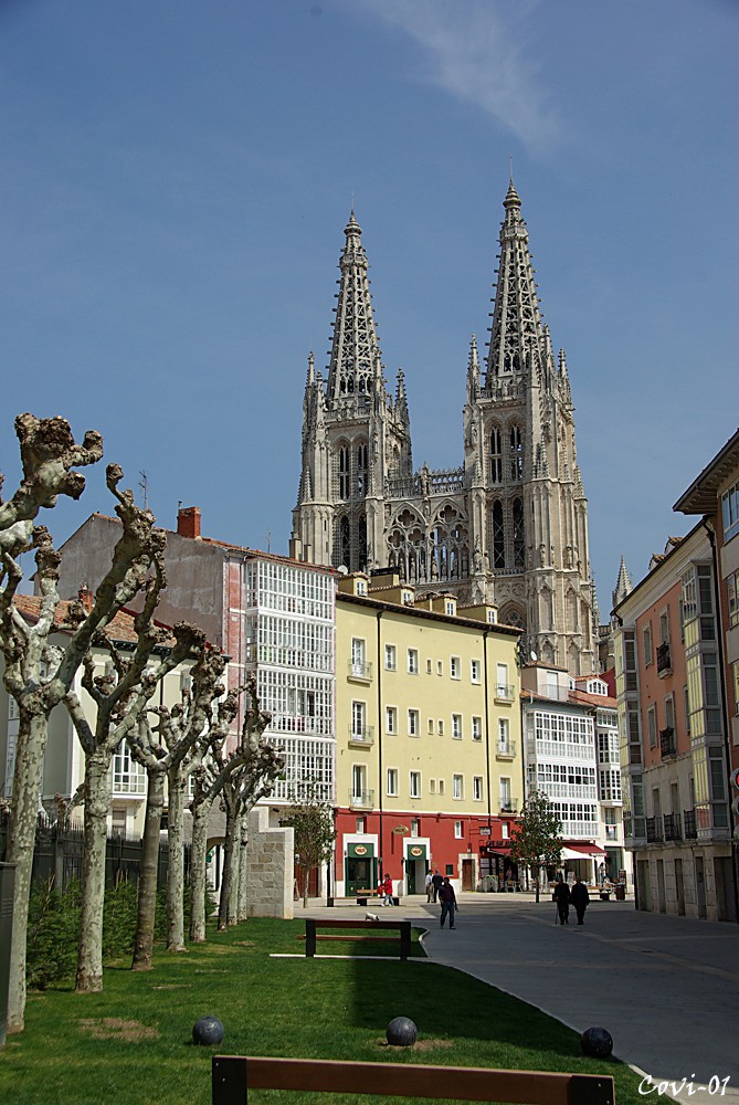 Catedral de Burgos Imgp7914